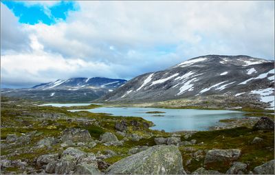 DSC_3607_1.jpg