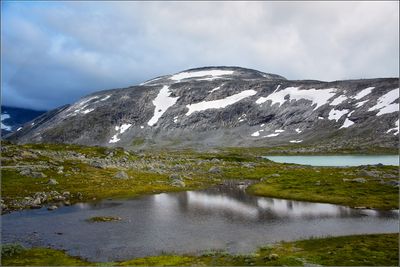 DSC_3619_1.jpg