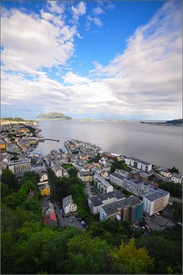 DSC_4498_1.jpg