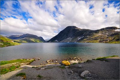 DSC_4577_1.jpg