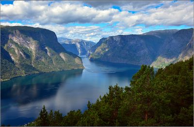 DSC_4186_1.jpg