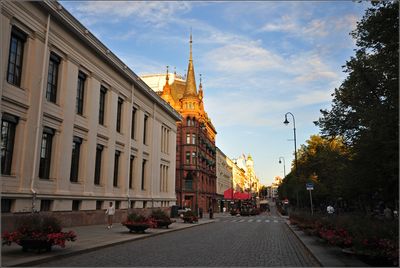 DSC_8339_1.jpg