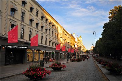 DSC_8341_1.jpg