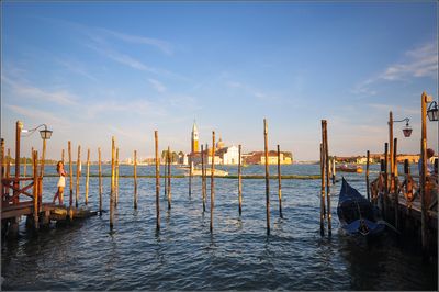 DSC_7530_1.jpg