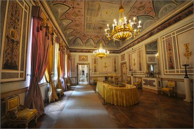 DSC_7979_1.jpg