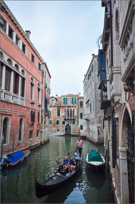 DSC_8009_1.jpg
