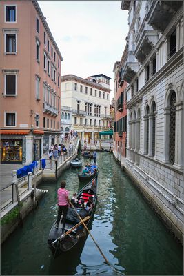 DSC_8010_1.jpg