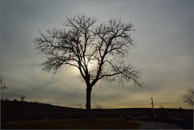 DSC_6871_1.jpg