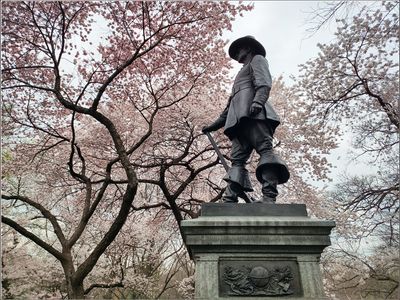 Central Park Cherry blossom 2023