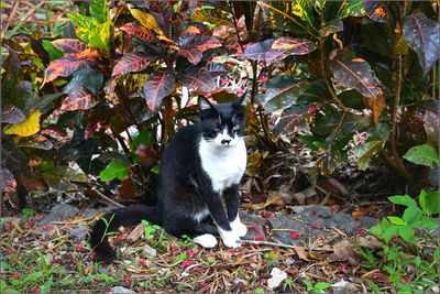 DSC_7151_1.jpg