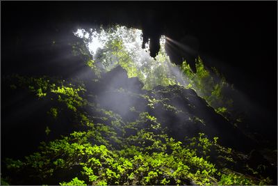 DSC_7248_1.jpg