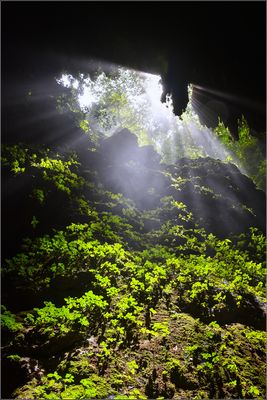 DSC_7249_1.jpg