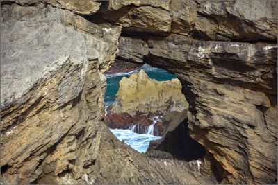 DSC_7273_1.jpg