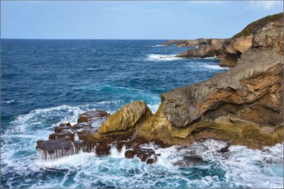 DSC_7274_1.jpg