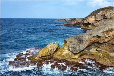DSC_7280_1.jpg