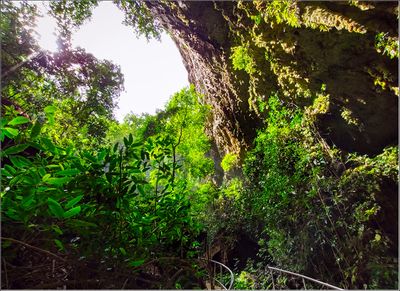 IMG_20230408_151609_1.jpg