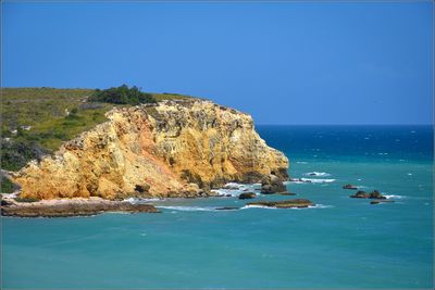 DSC_7372_1.jpg