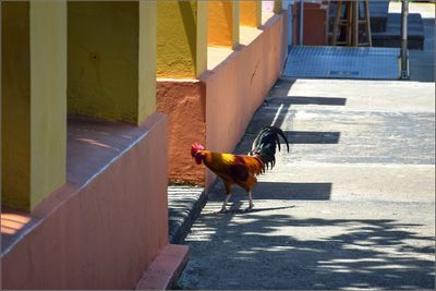 DSC_7758_1.jpg