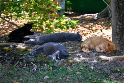 DSC_7765_1.jpg