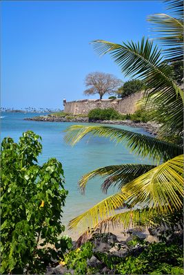 DSC_7780_1.jpg