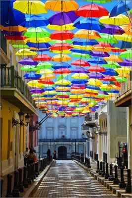 DSC_7817_1.jpg