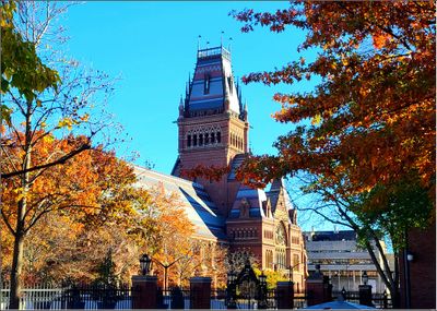 20241109_092620_1.jpg