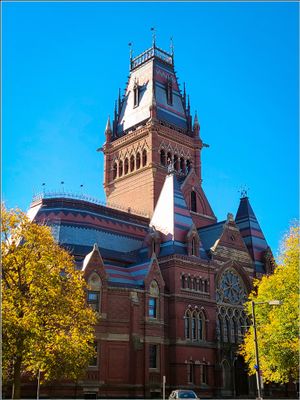 20241109_110034_1.jpg