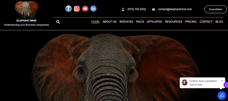elephantmind (2).png