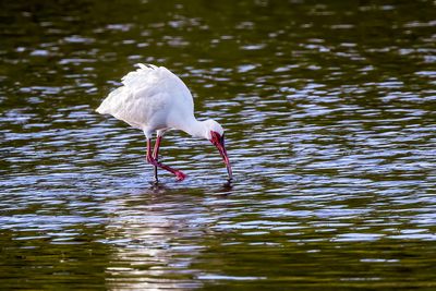 _MG_5019.jpg