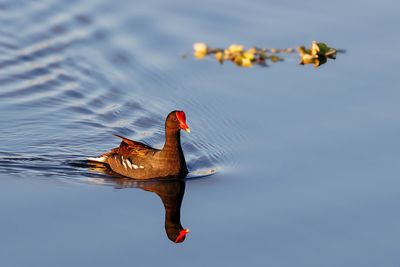 _MG_17230.jpg