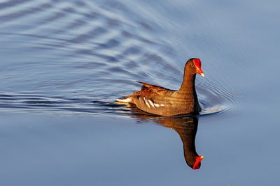 _MG_17235.jpg
