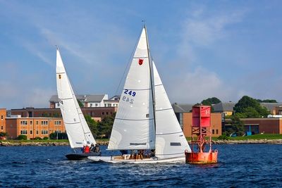 _MG_37308-DeNoiseAI-clear.jpg