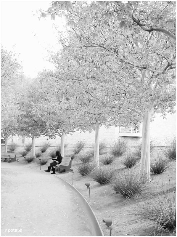 The Getty Center