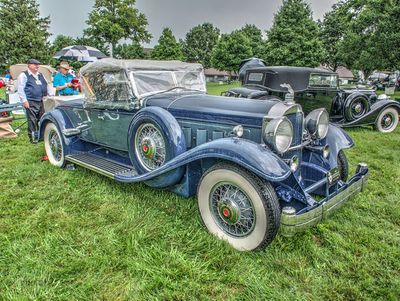 1931 Packard 840 Roadster