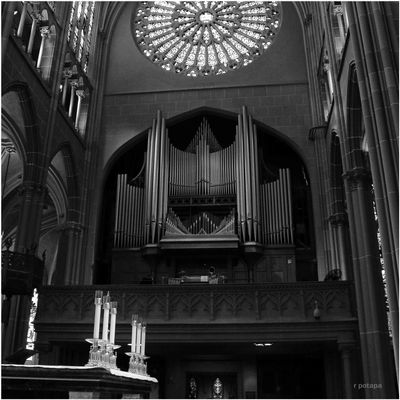 Cathedral Basilica of Assumption