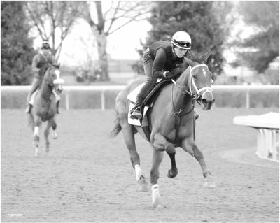Keeneland Race Track