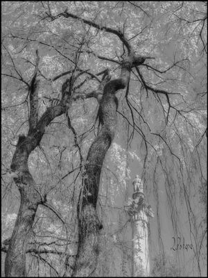 Lexington Cemetery