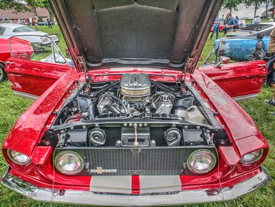 1967 Shelby GT500