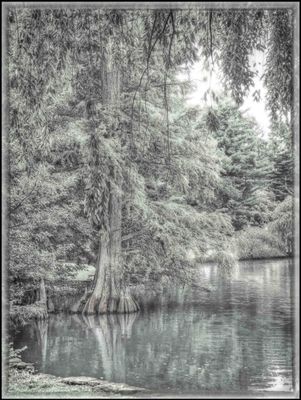 Lexington Cemetery