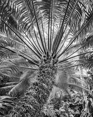 g13/74/89074/3/174745470.e586d1a2.JPEG