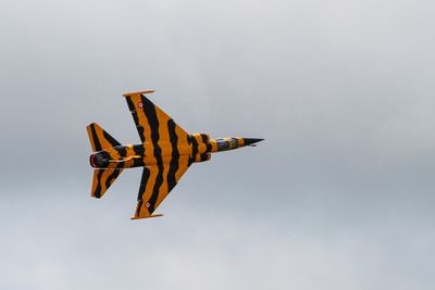 IMG_0160.jpg