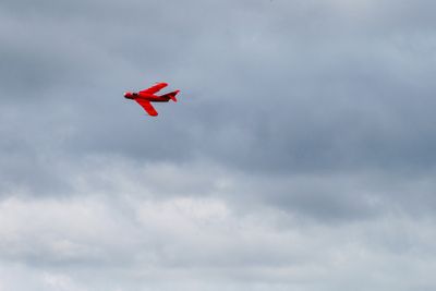 IMG_0640.jpg