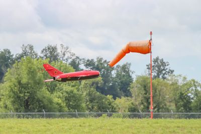IMG_0710.jpg