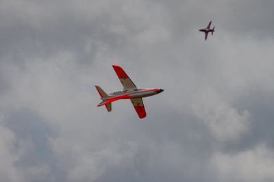 IMG_0796.jpg
