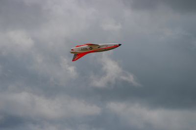 IMG_0798.jpg