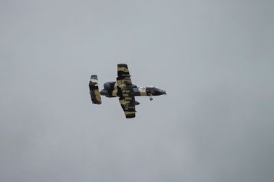 IMG_1223.jpg