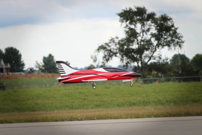 IMG_1302.jpg