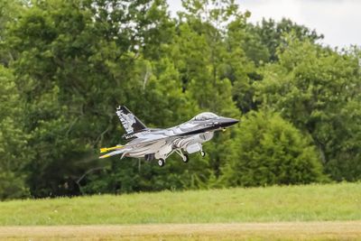 IMG_1868.jpg