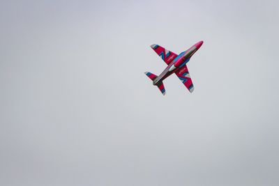 IMG_2394.jpg