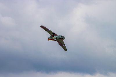 IMG_4100.jpg